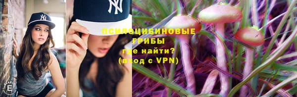МДПВ Волосово