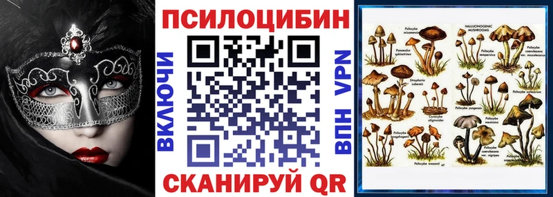 хочу наркоту  Ивантеевка  Галлюциногенные грибы Psilocybe 